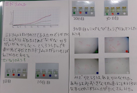 多田さんの作品