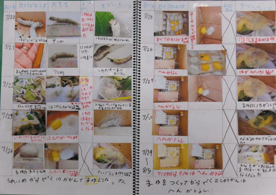 佐藤さんの作品