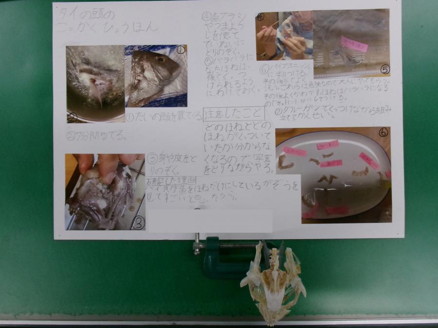 土谷さんの作品