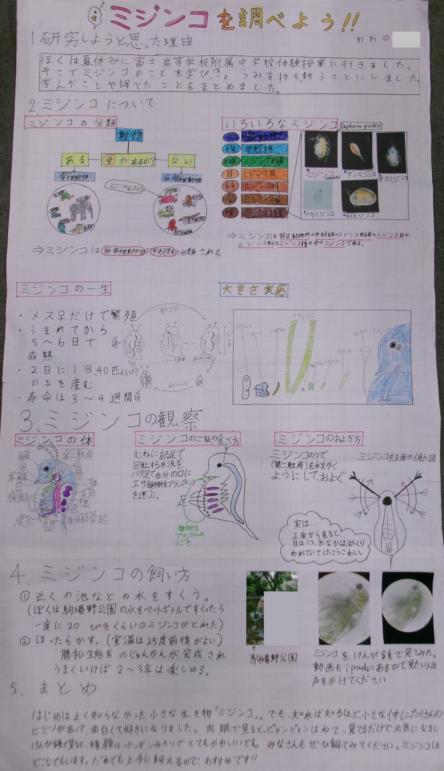 大野さんの作品