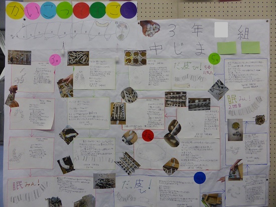 中嶋さんの作品