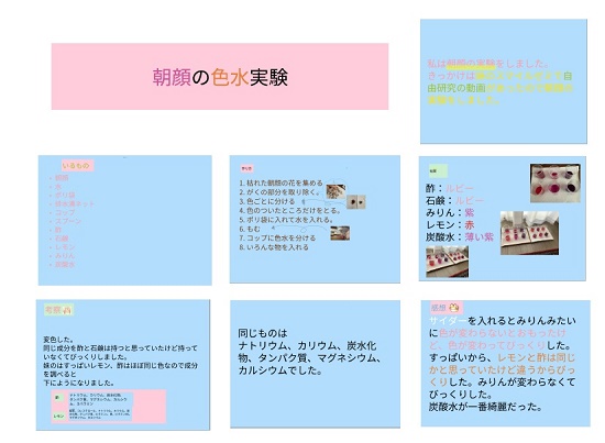 池野さんの作品