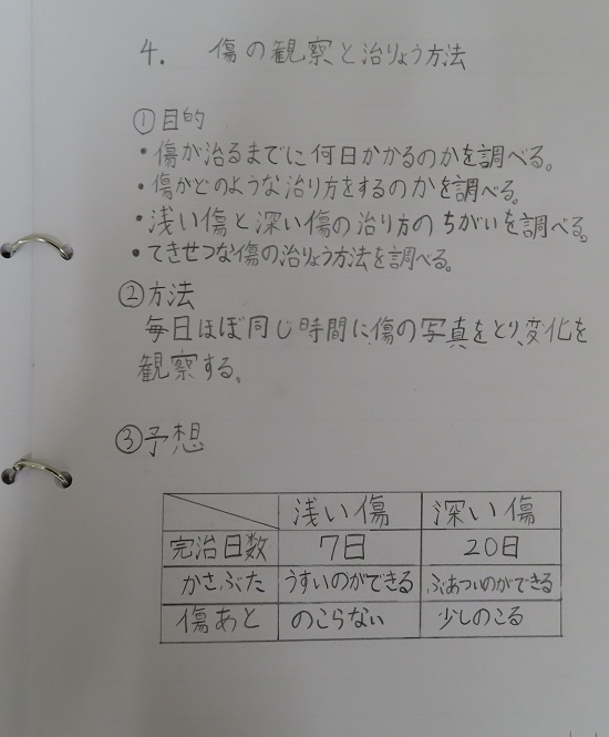 田村さんの作品