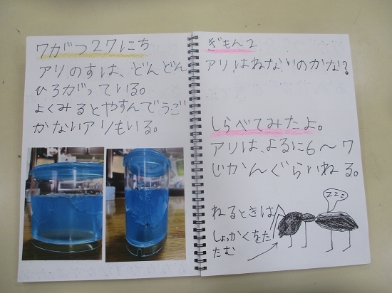 船越さんの作品