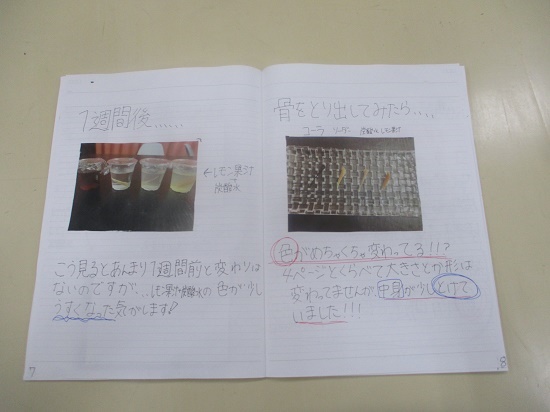 渡辺さんの作品