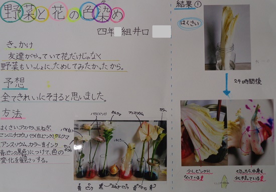 井口さんの作品