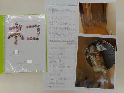 平賀さんの作品