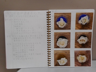 伊東さんの作品