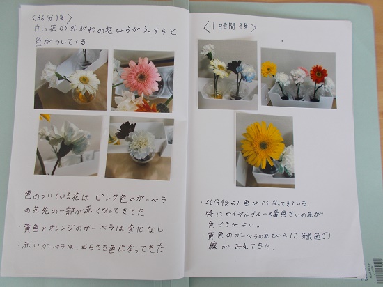 荒居さんの作品