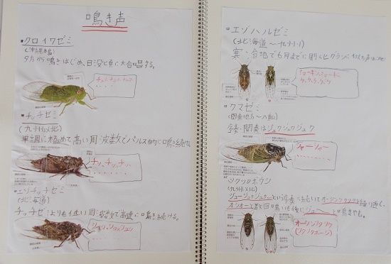 門倉さんの作品
