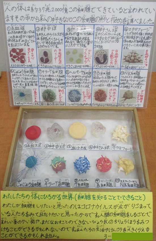 酒井さんの作品