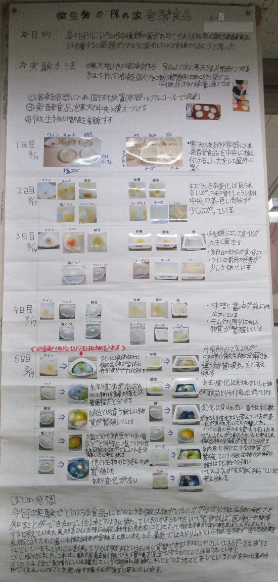 西牧さんの作品