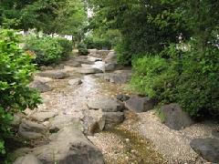 公園を流れる小川の写真