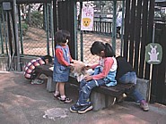小動物とのふれあいコーナーの写真