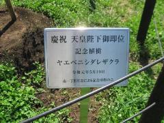 樹名板の写真