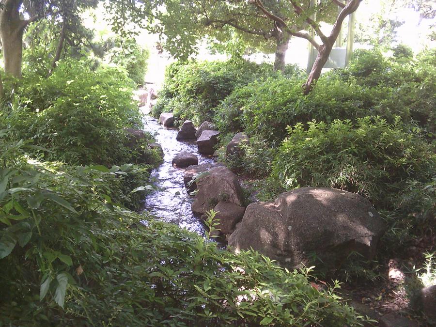西郷山公園のじゃぶじゃぶ池の写真