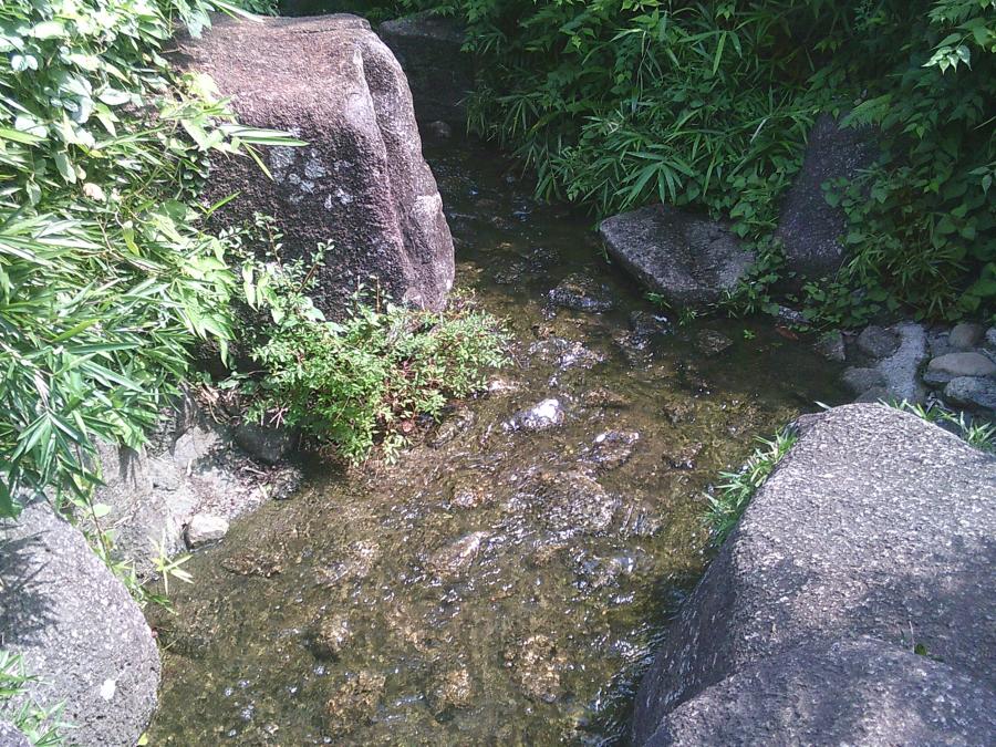 西郷山公園のじゃぶじゃぶ池の写真