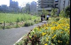 中目黒公園の散策の写真
