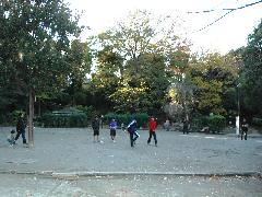 広場の写真