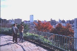 西郷山公園の展望近くの景色の写真