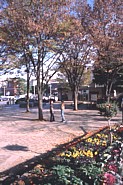 公園内の花壇の写真