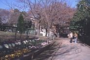芝生広場脇の通りの写真