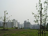 芝生広場からの展望の写真