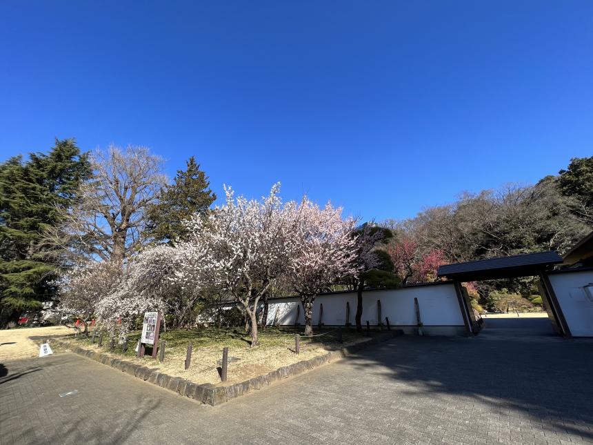和館前