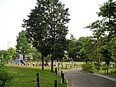 広場の写真