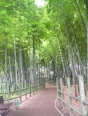すずめのお宿緑地公園の写真
