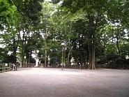 公園の中央広場の写真