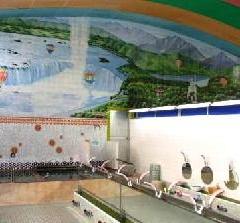 月光泉の浴場内の写真