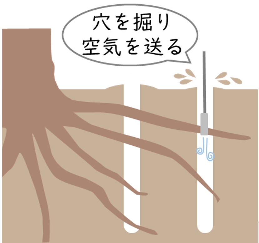 イメージ図1