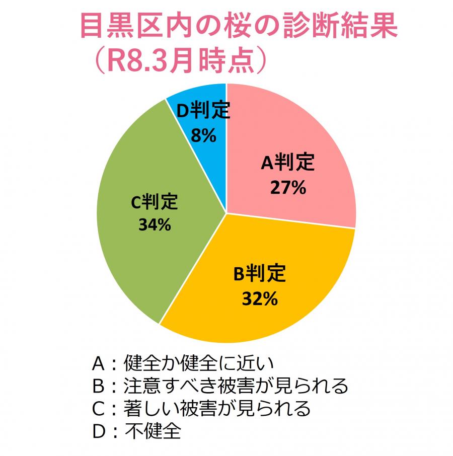 樹木診断結果割合