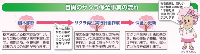 目黒のサクラ保全事業の流れの図