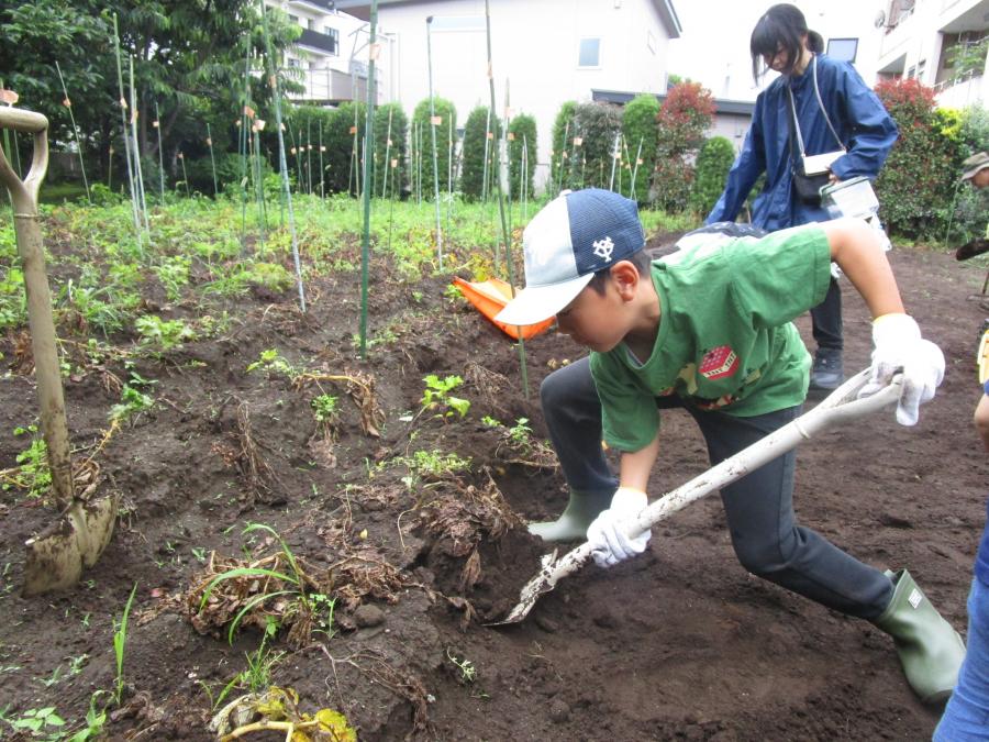 ほっている