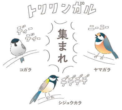 トリリンガルと称して、コガラとヤマガラとシジュウカラが、それぞれの鳴き声で「集まれ」と理解しあっているイラスト